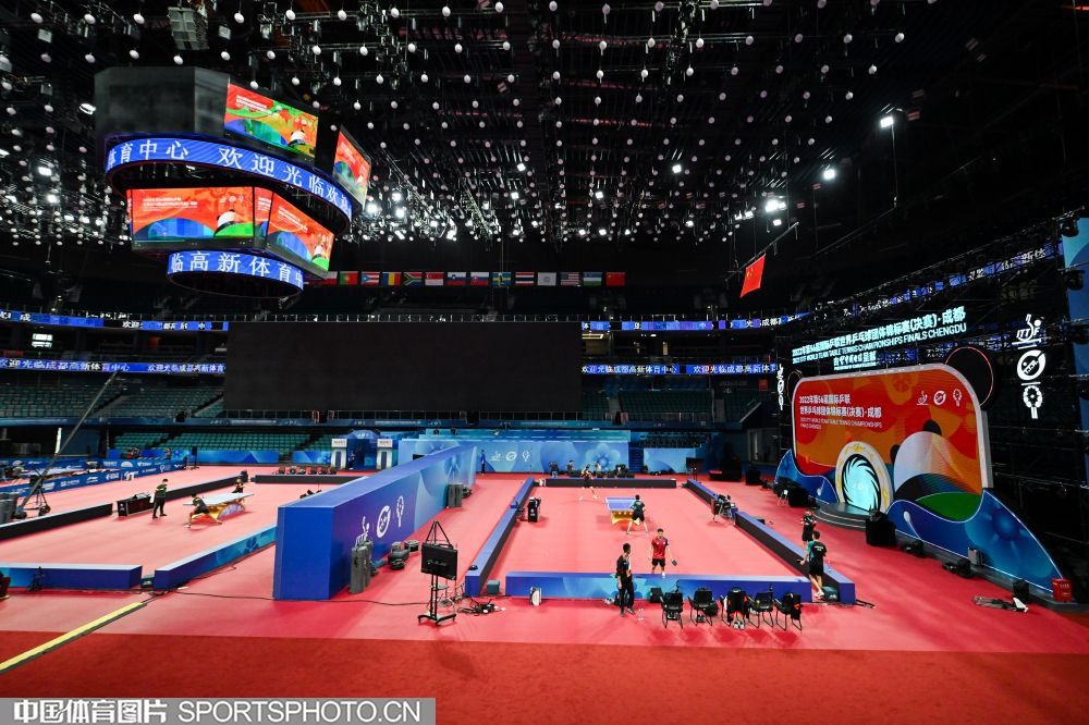 🚨 突发：西班牙人队球迷在老鼠身上放置加西亚叛徒纸币，以此嘲讽霍安·加西亚在加泰罗尼亚德比中的表现。